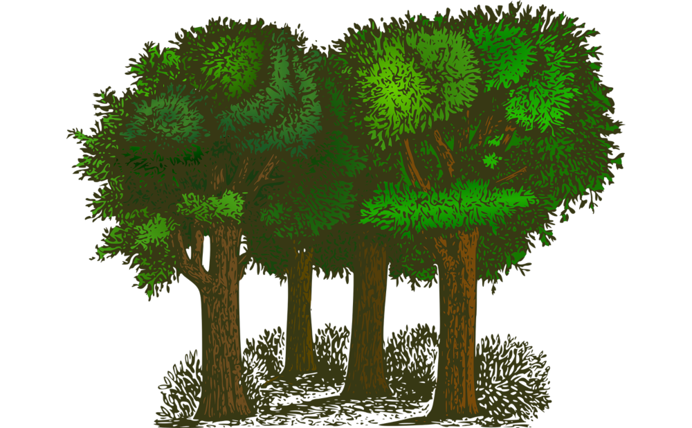 Most People Aren’t Broke. They’re Just Out of Rhythm